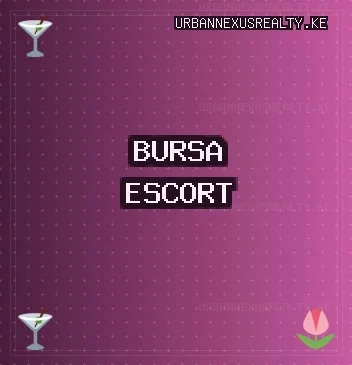 Bursa Escort: Nilüfer Escort, Kestel Escort, Yıldırım Escort