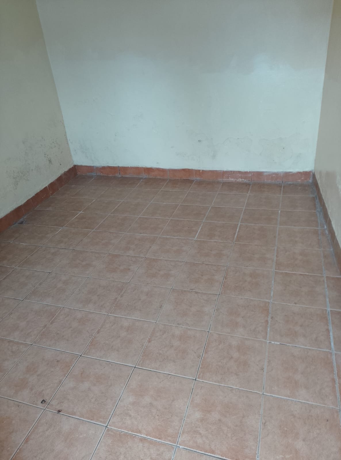 WhatsApp Image 2026-06-30 at 17.45.42 Vacant Single Room to Let at Kings Serenity, Ongata Rongai